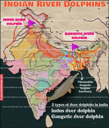 indus river dolphin habitat